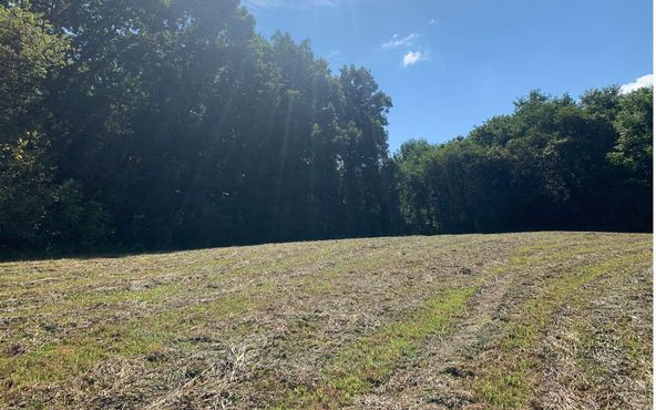 69 Hwy 64 W, Hayesville, NC 28904